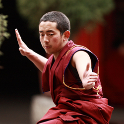 Tibet Travels